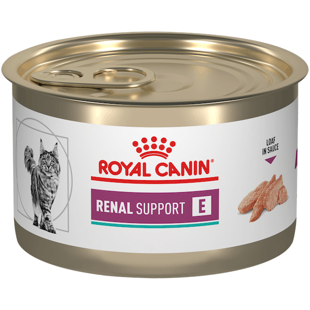 renal support e gato royal canin lata renal support e gato royal canin lata